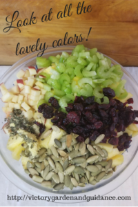 Victory pineapple cranberry apple salad